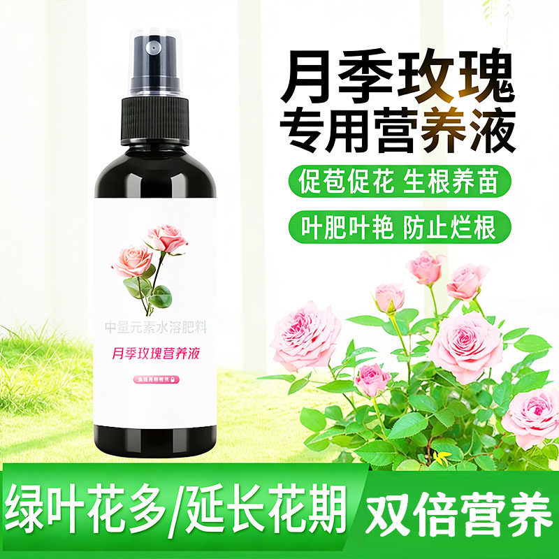 月季玫瑰专用营养液稀释促花