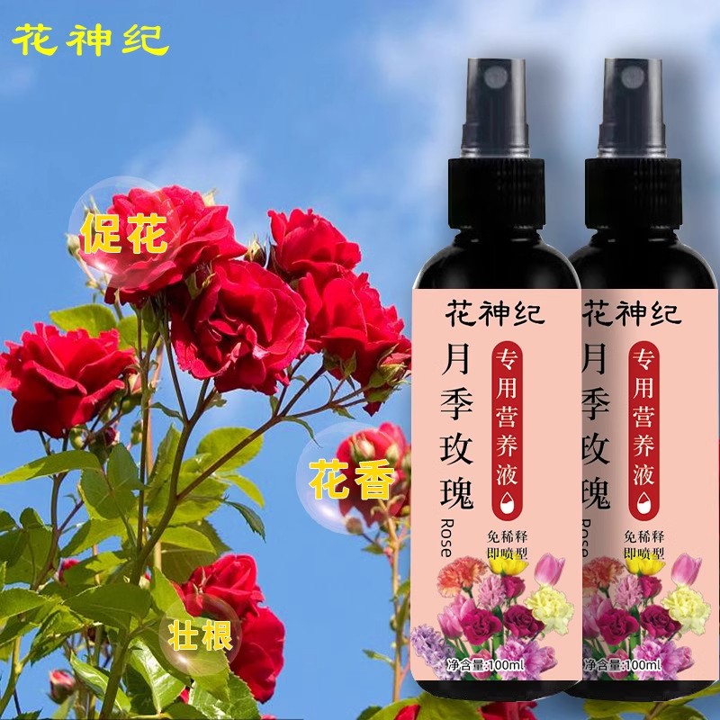 【芽苞猛窜】月季花营养液催花肥促发芽防黄叶盆栽月季玫瑰专用肥