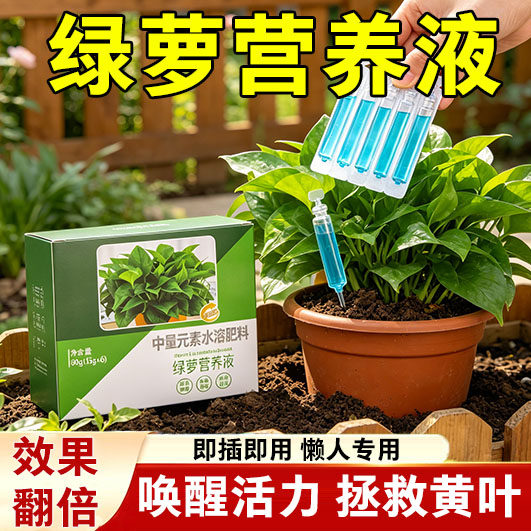 绿萝营养液肥料专用肥
