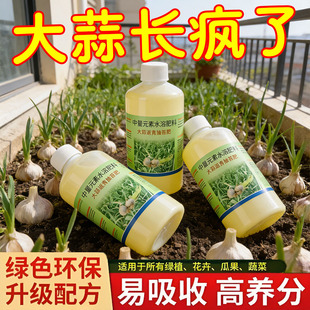 大蒜返青抽苔肥 蒜头大蒜苔粗专用肥增产绿叶液体嫩绿肥厚原装