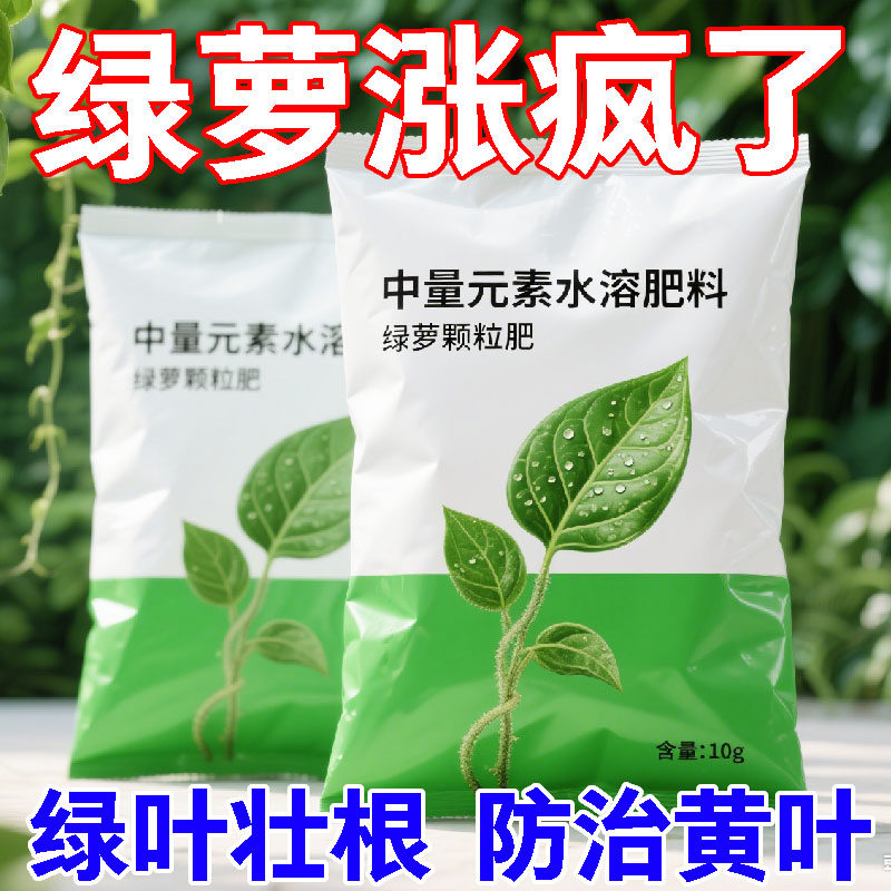 绿萝肥料专用肥预防黄叶生根