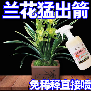 兰花植物专用爆根剂兰花专用营养液防枯叶催绿生根开花免稀释