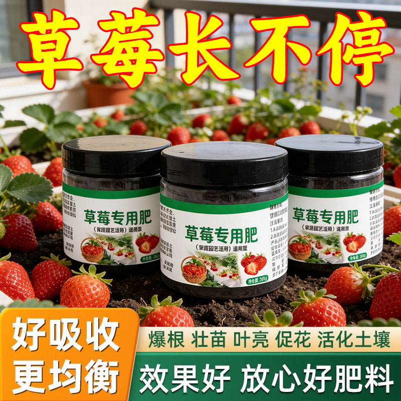 草莓肥料专用肥阳台草莓盆栽