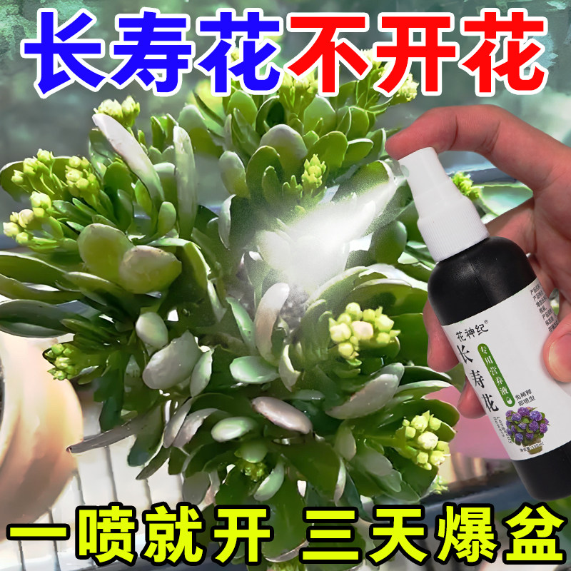 长寿花营养液催花生长液强效治叶子发黄不开花专用促花增绿肥料