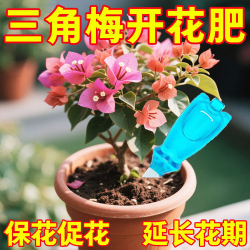 三角梅开花专用营养液肥