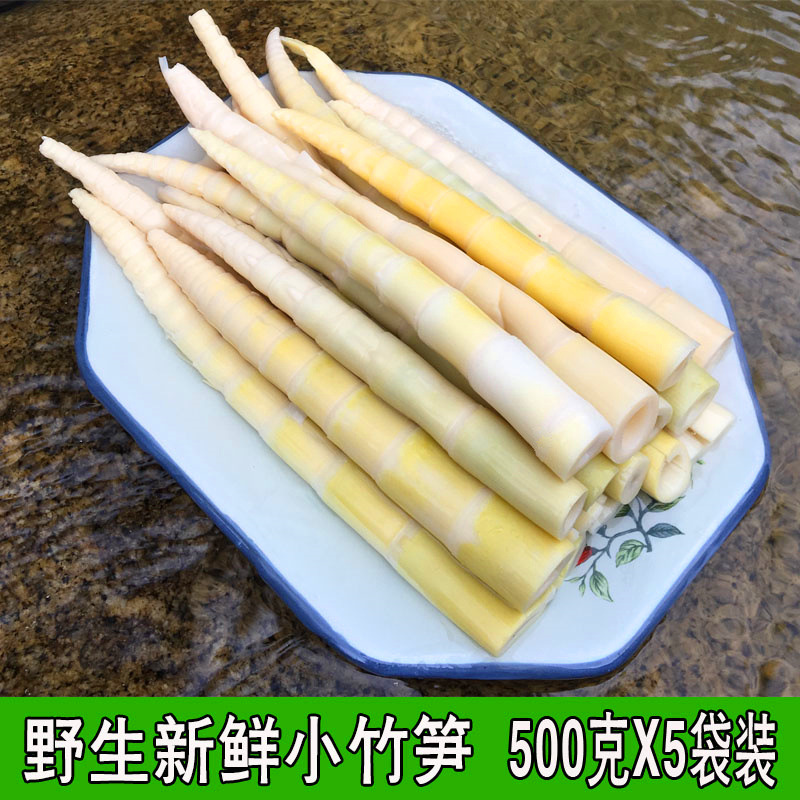 500g新鲜竹笋鲜嫩笋尖清水笋丝罗