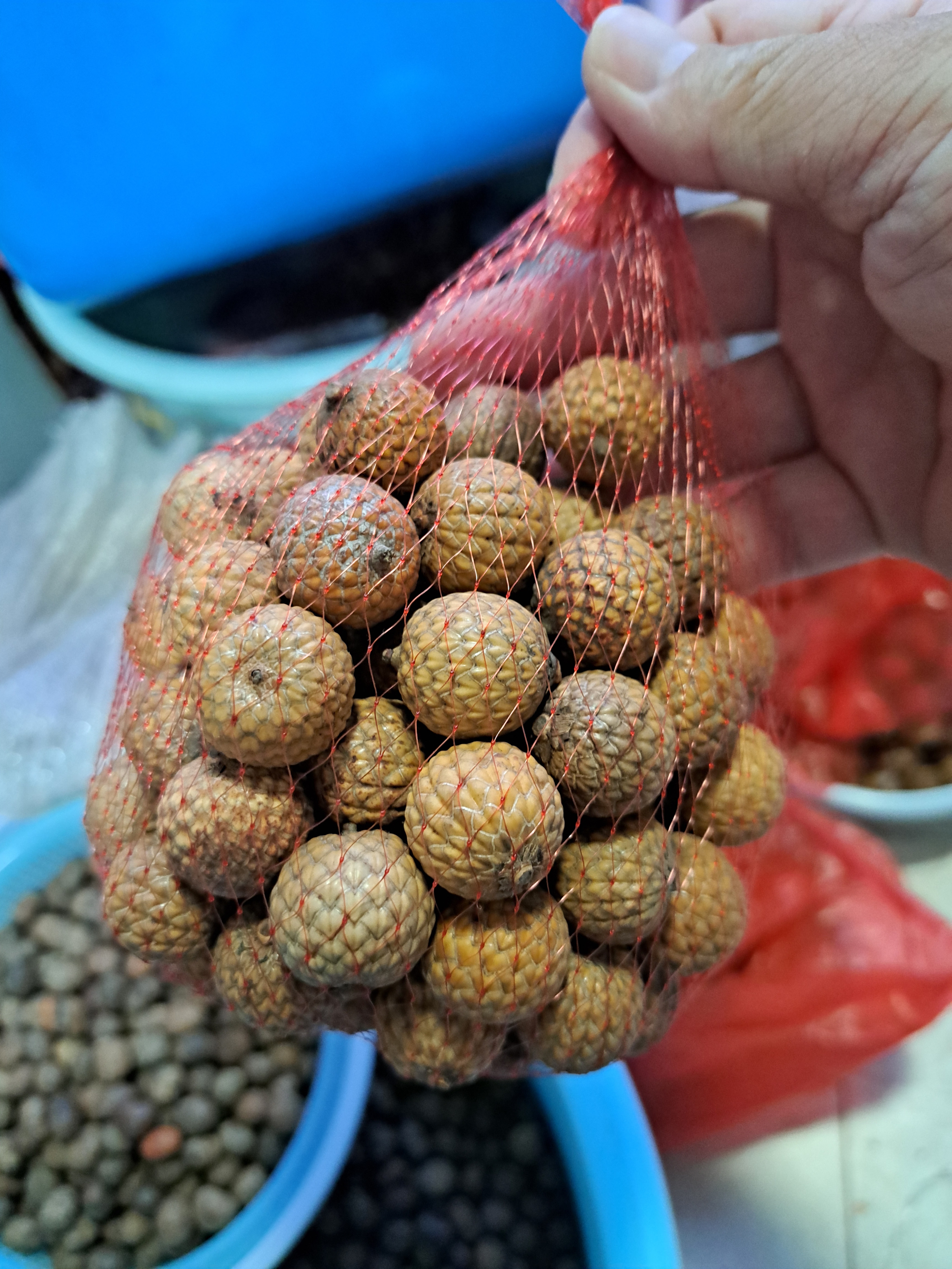海南星月菩提原果带壳尺寸在18-22mm数量120颗干壳原果DIY手串