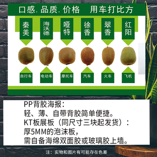 猕猴桃品种口感品质价格水果介绍水果店海报展板写真PP背胶纸KT板