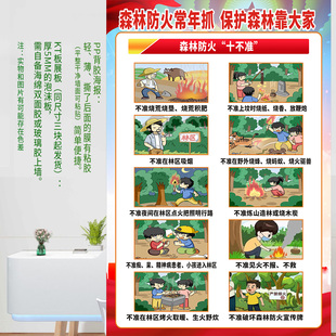 森林防火十不准森林防火知识海报张贴画写真PP背胶KT板展板广告画