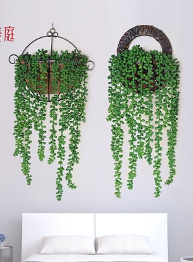 情人泪吊兰佛珠壁挂多肉植物藤条