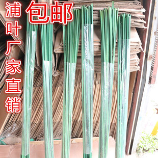 仿真蒲棒 仿真蒲叶 蒲草仿真水蜡烛叶干花干草干枝 家居装饰 蒲棒