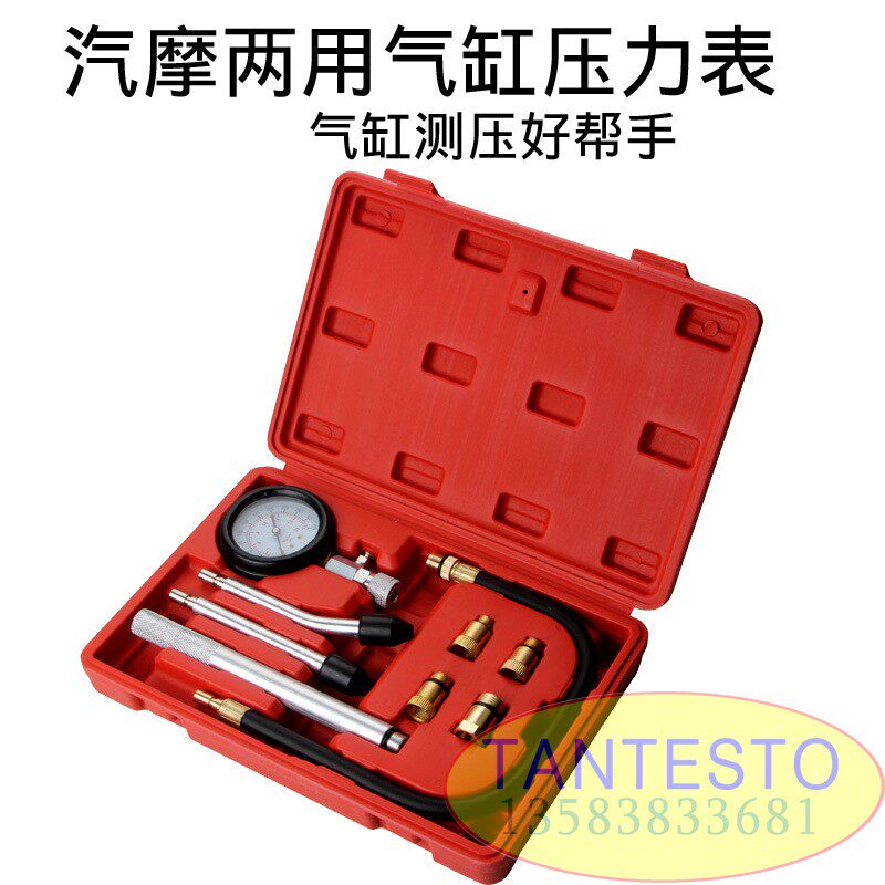 两用气缸压力表TANTESTO