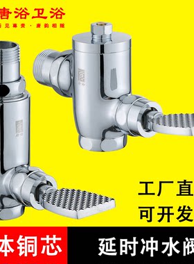 全铜体加厚脚踏式冲洗阀蹲便器