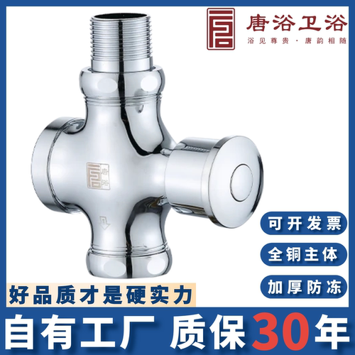 唐浴按压式冲水阀延时手按大便阀