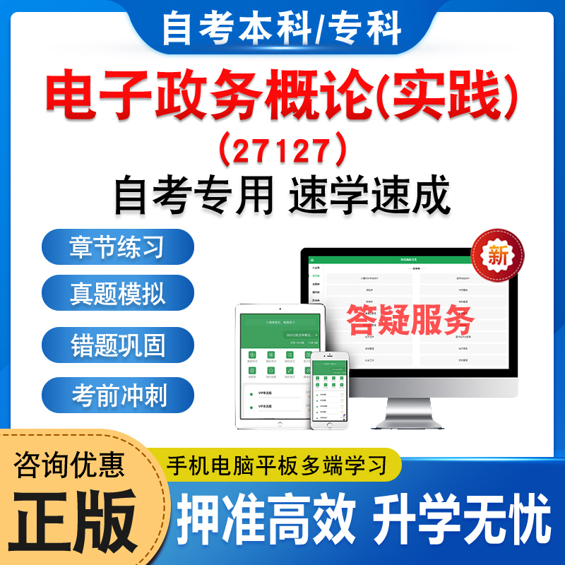 03334电子政务概论(实践)自考