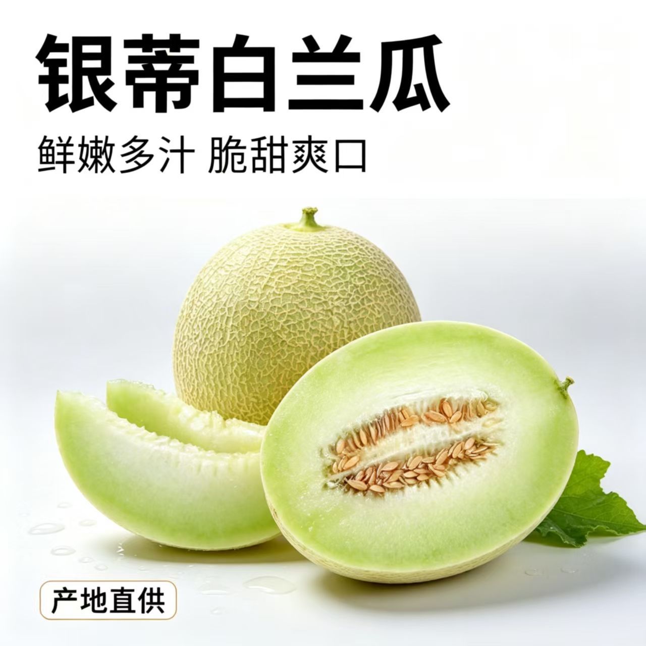 内蒙古沙漠网纹甜瓜银蒂白兰瓜蜜甜瓜