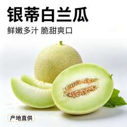内蒙古沙漠网纹甜瓜银蒂白兰瓜蜜瓜薄皮兰州香瓜瓜州哈密瓜大瓜