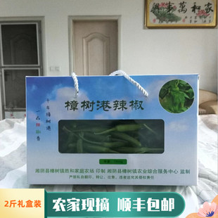 2斤礼盒装正宗湖南湘阴樟树港辣椒新鲜特产绿色食品现摘顺丰包邮