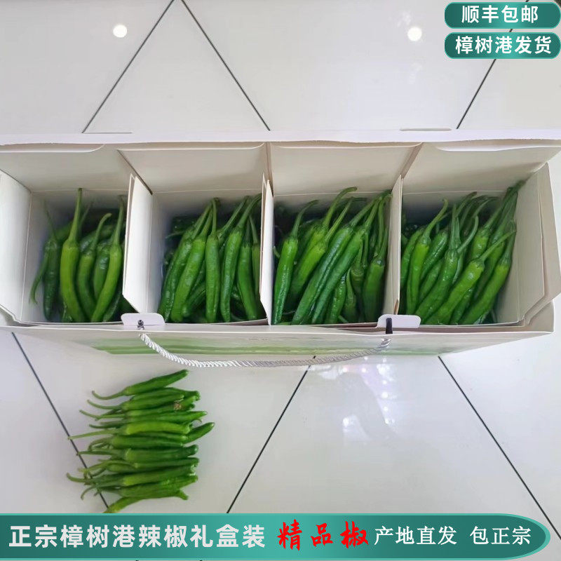 精品2斤礼盒装正宗樟树港辣椒原产地湖南湘阴农家特产新鲜小青椒