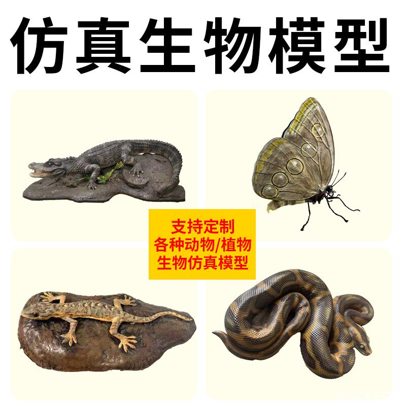 仿真生物动物植物标本3D打印模型两栖爬行鱼类定制展示教学道具
