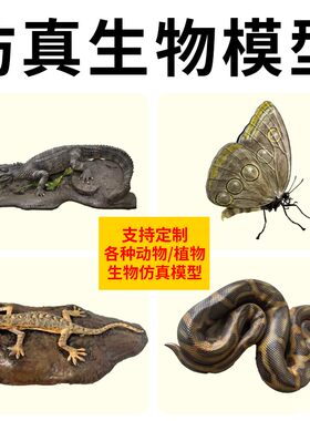 仿真生物动物植物标本3D打印模型两栖爬行鱼类定制展示教学道具