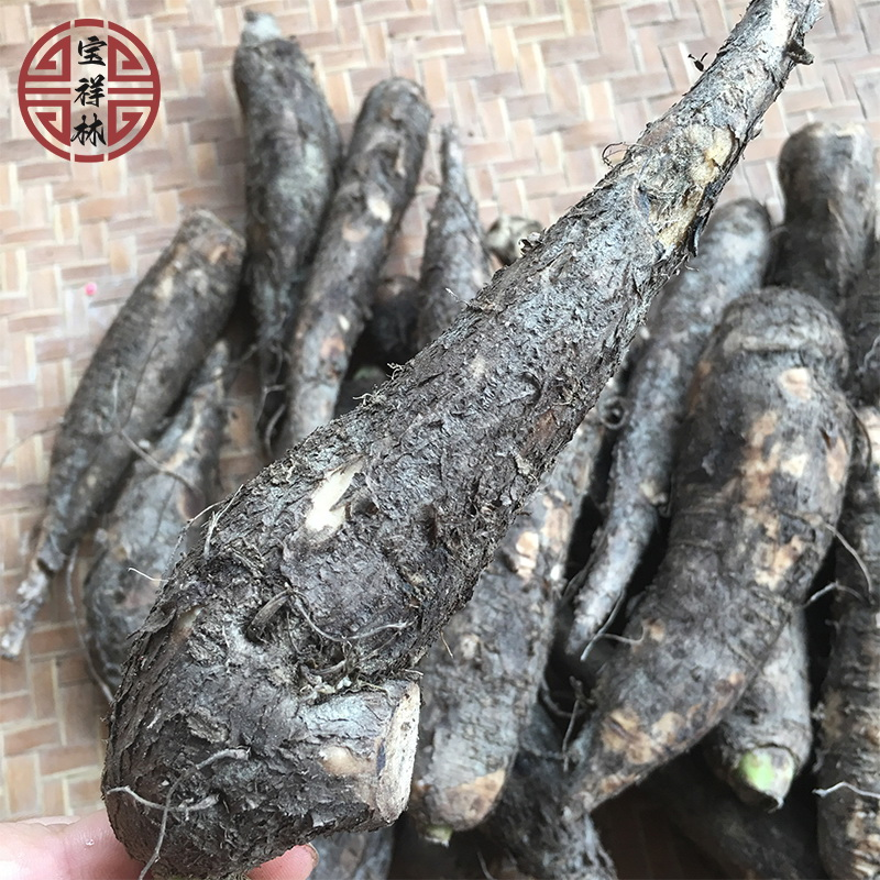 宝祥林深山入地老鼠新鲜钻地老鼠广东现挖新鲜茉莉花根500g
