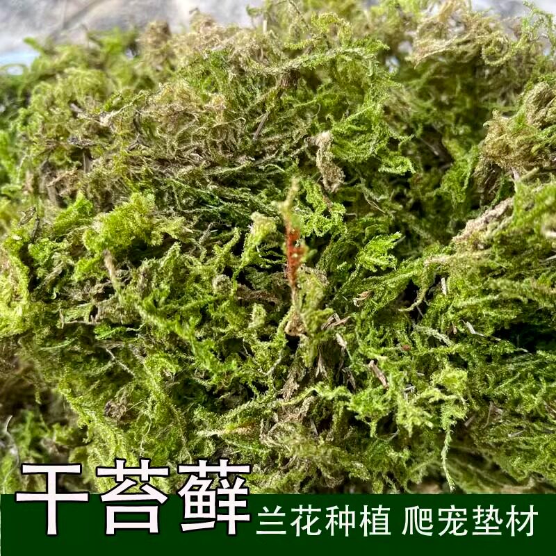 干苔藓水苔纯天然青苔兰花蝴蝶兰石斛种植专用营养土爬宠乌龟垫材