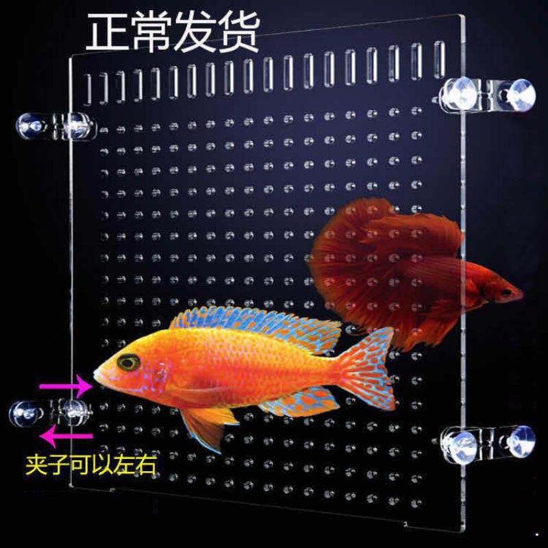 亚克力鱼缸隔板透明隔离板鱼苗隔网板过滤板水族DIY打孔切割厂家