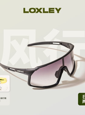 LOXLEY洛克利变色风行骑行眼镜防紫外线防风沙自行车眼镜