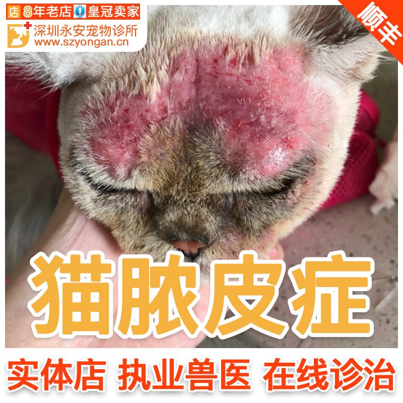 猫脓皮症诊疗阴囊脚趾指间发炎红狗皮肤病喷剂药深圳