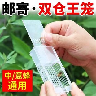 （双仓）新款多功能囚王笼邮寄王笼蜜蜂塑料王笼邮寄蜂王养蜂工具