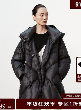 H·GENTEEL荷高新款冬不规则立领连帽宽松A型羽绒服GUE45560655