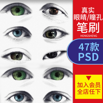 ps画笔笔刷绘画人物素描真实眼睛瞳孔高光素材ABR弘圣素材商行