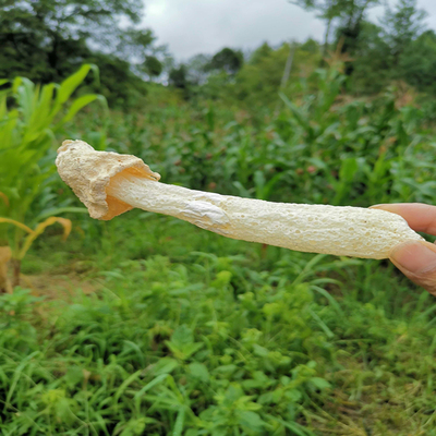天然干货竹荪食用菌无硫煲汤长裙