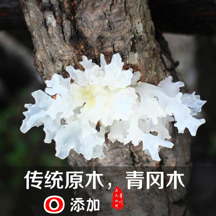 青川特产干货 野山椴木白木耳 雪耳 孕妇糯耳无硫非古田通江银耳
