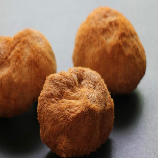 100克非东北猴头菇 包邮 青川树枝生长煲汤养胃蘑菇干货5份 猴头菇