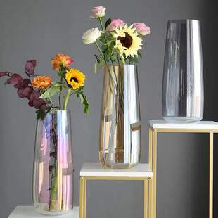 高筒大口径特大号玻璃花瓶透明插花富贵竹专用圆柱直筒高款高身瓶