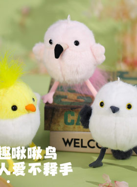 【新客首单立减】啾鸟鹦鹉