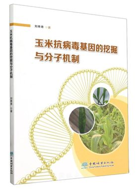 玉米抗病毒基因的挖掘与分子机制 2373