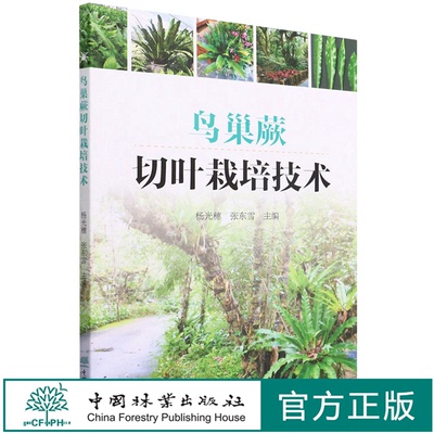 鸟巢蕨切叶栽培技术杨光穗