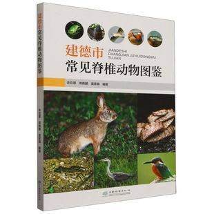 建德市常见脊椎动物图鉴 &2669