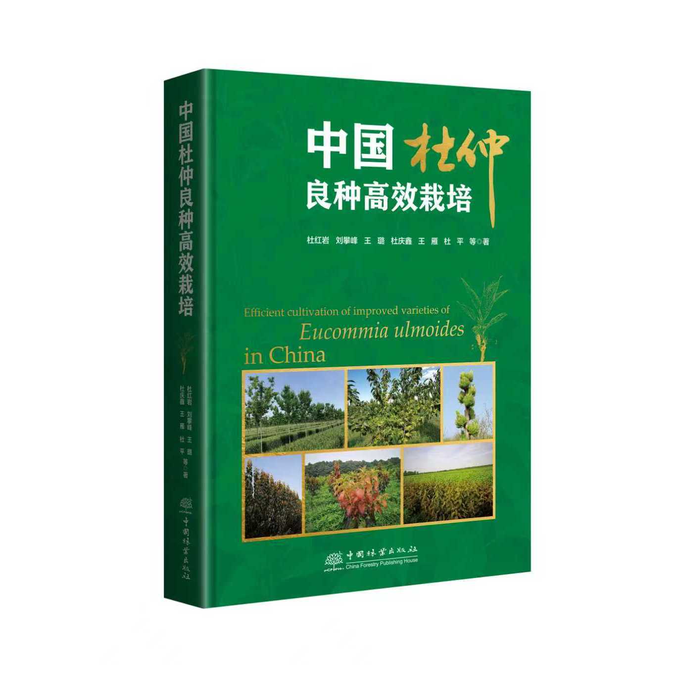 中国杜仲良种高效栽培 &3290