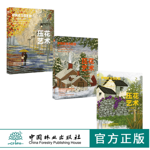 初级、中级、高级  三本一套