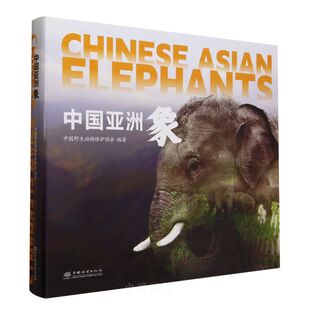 中国亚洲象 &2252