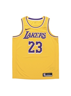 Nike耐克NBA LA Lakers Jersey LeBron詹姆斯球衣背心AA7099-741