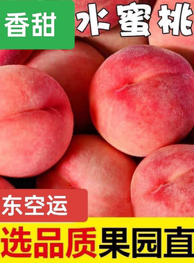 新鲜桃子龙泉水蜜桃现摘毛桃当季时令孕妇水果香甜多汁可撕皮脆桃