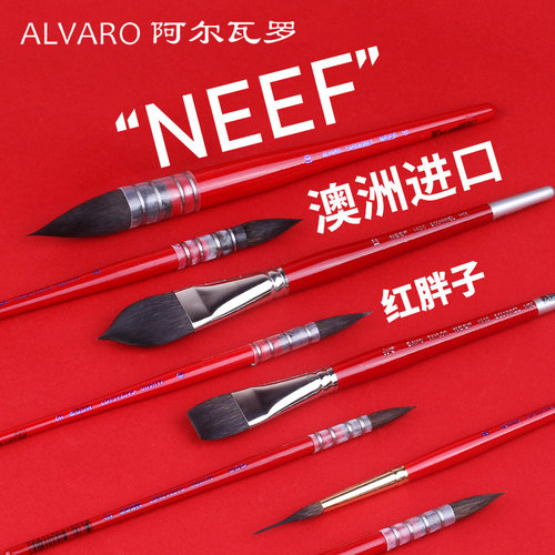 澳洲NEF阿尔澳洲NEF阿尔