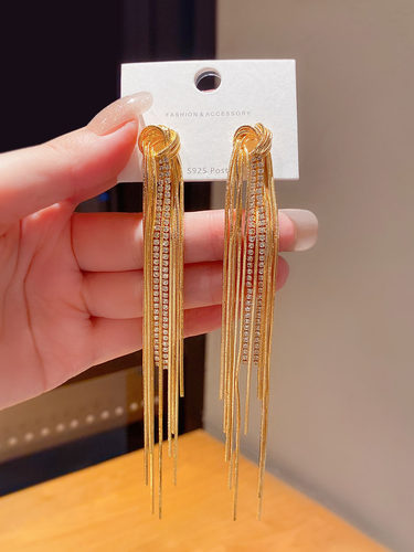 高级感链条冷淡风长款流苏耳环