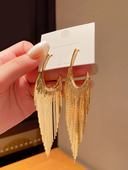 流苏耳环女高级感冷淡风小众大版 2025年新款 潮夸张气质长款 耳钉