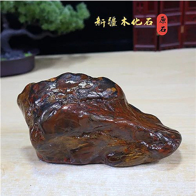 超值新疆木化石原石 自然石 盆景石 奇石 鱼缸石 石头摆件